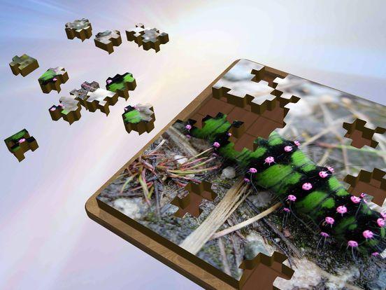Portada de Super Jigsaws Bugs & Creatures