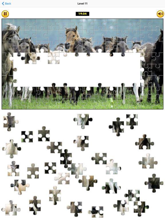 Portada de Puzzle Collection: Animals