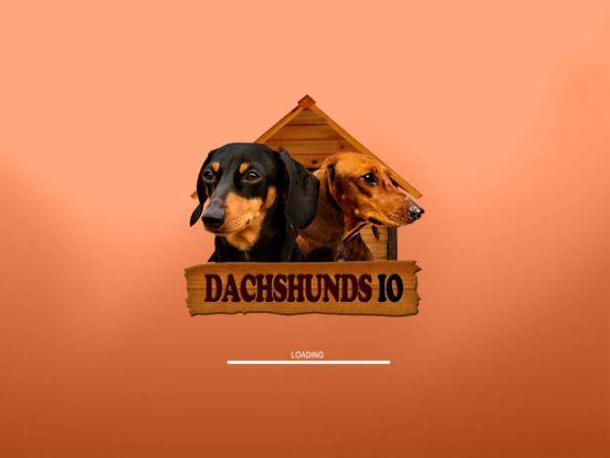 Portada de Dachshunds IO (Opoly)