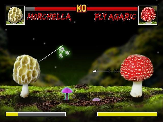 Portada de Clash of the Fungus