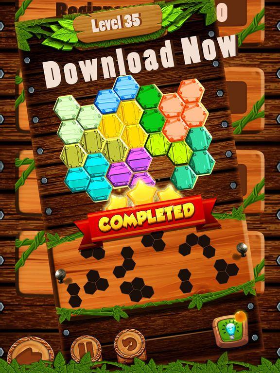 Portada de Hexa Wood Block Puzzle!
