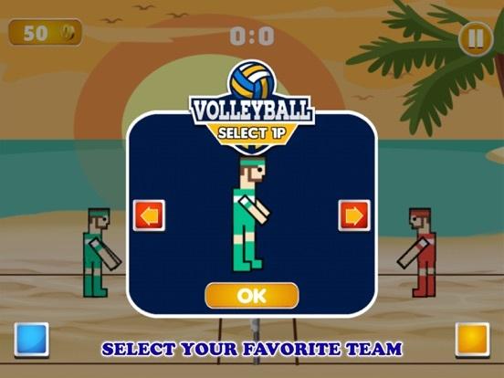 Portada de VolleyBall Sports Physics