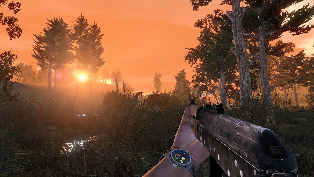 Portada de Sunrise: survival