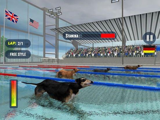 Portada de Dog Swimming Race