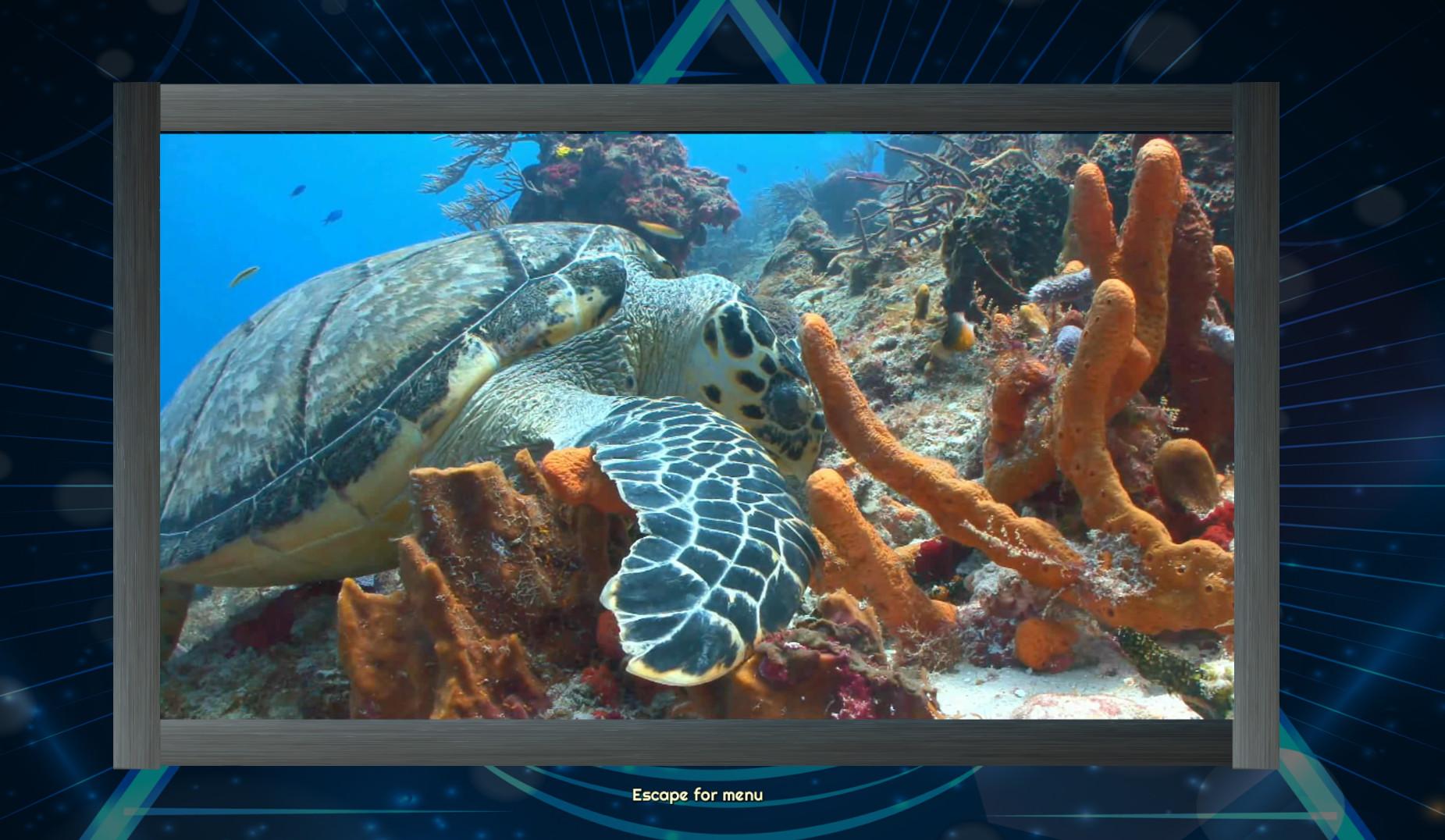 Portada de Trials of the Illuminati: Sea Creatures Jigsaws