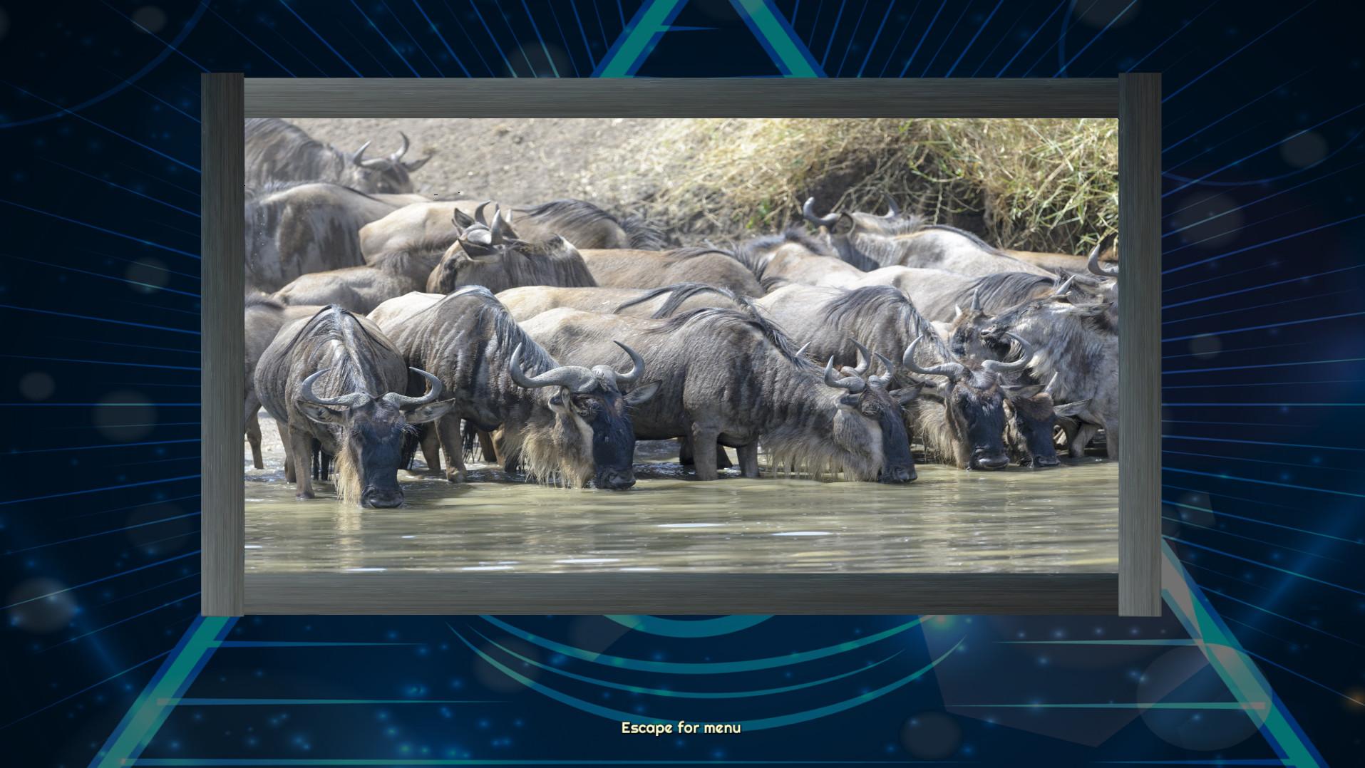 Portada de Trials of the Illuminati: Amazing Wildlife Jigsaws