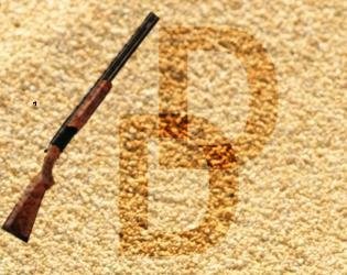 Portada de Dual In the Desert