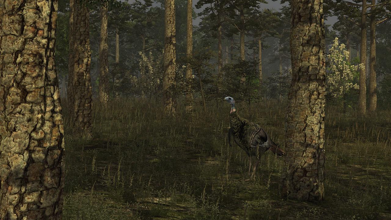 Portada de Wild Turkey Hunter