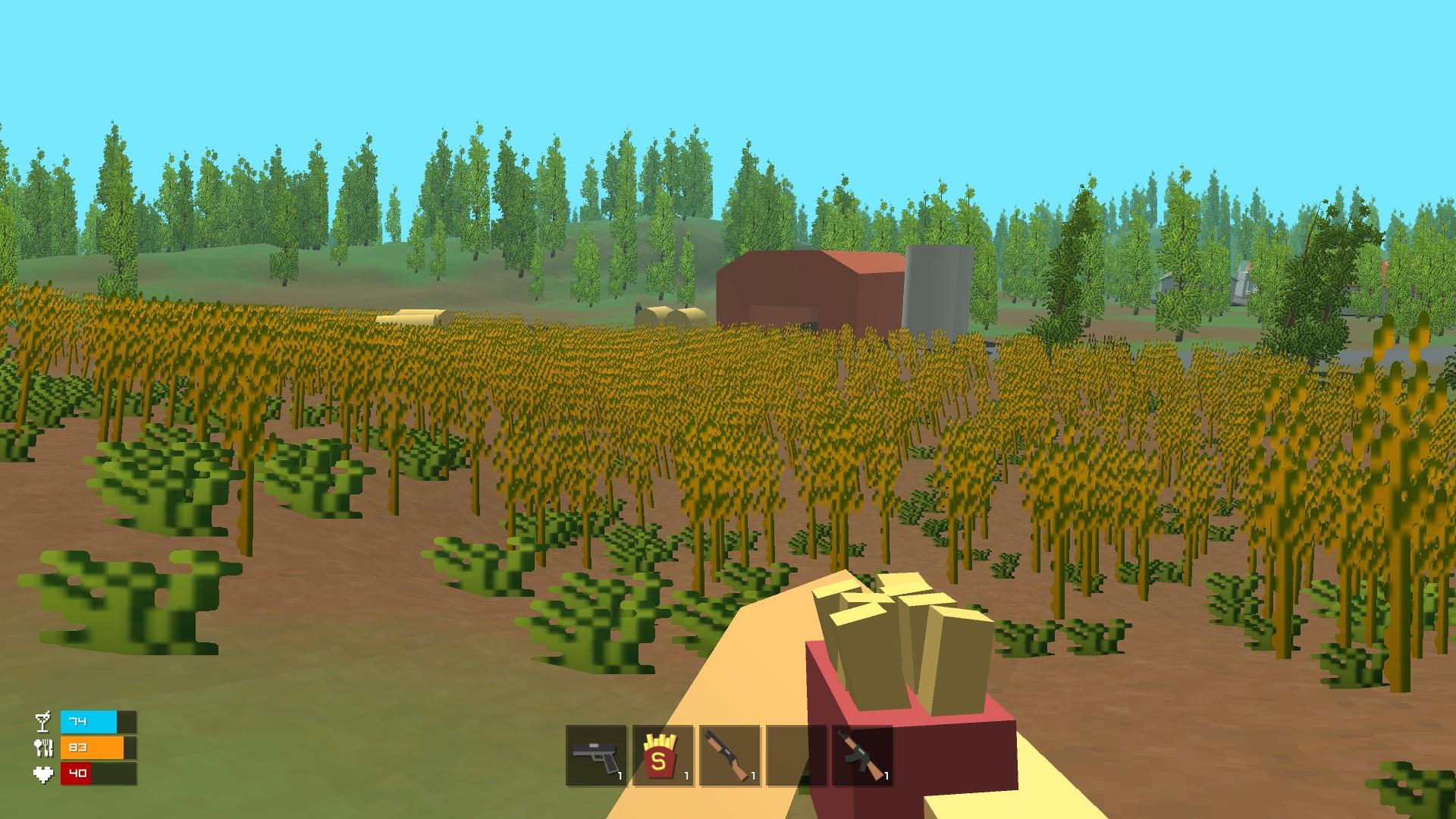 Portada de SurvivalZ