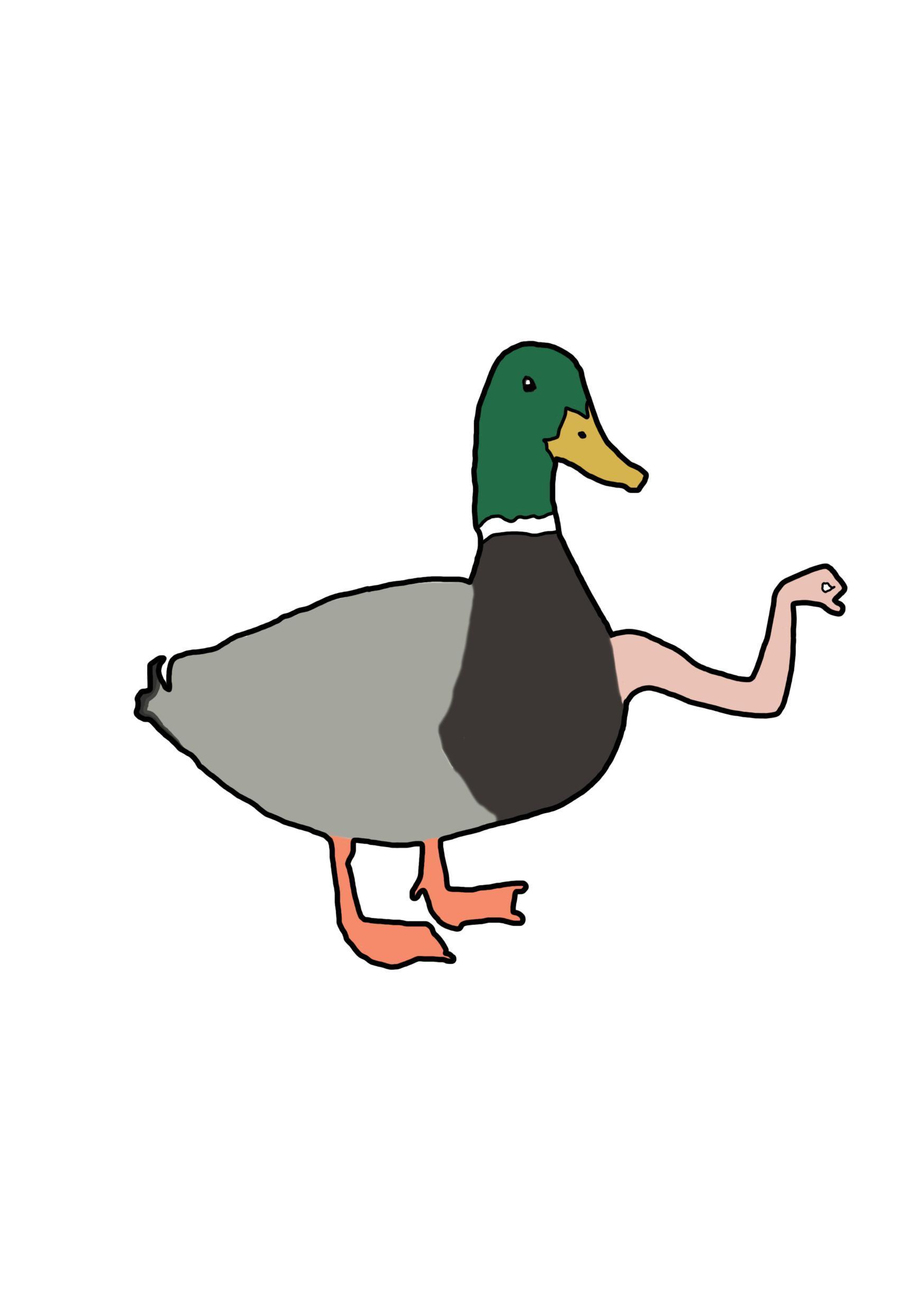 Portada de Group6 - Quack quack panic attack!