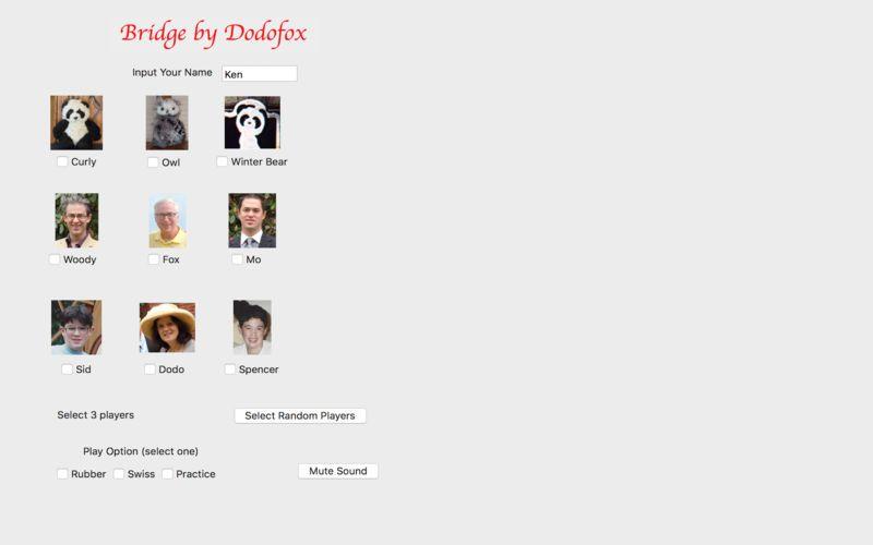 Portada de Bridge by Dodofox