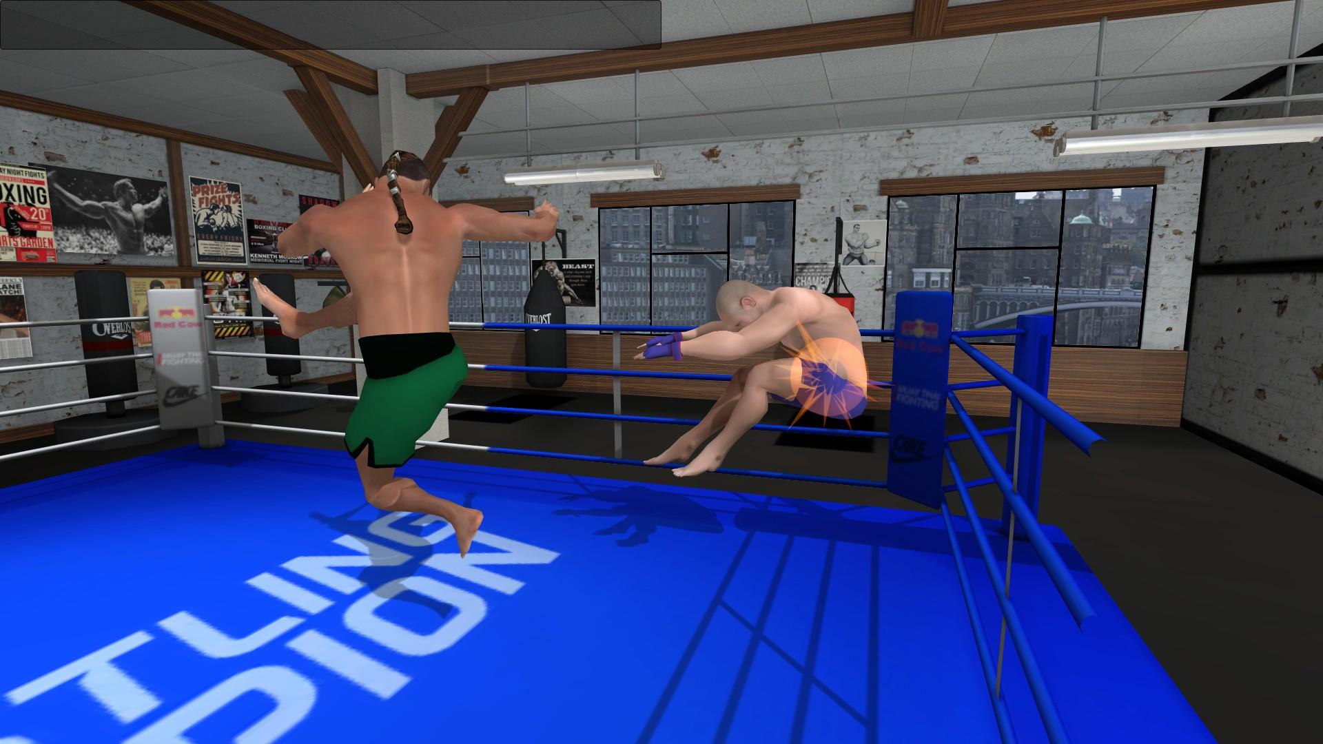 Portada de Wrestlers Without Boundaries