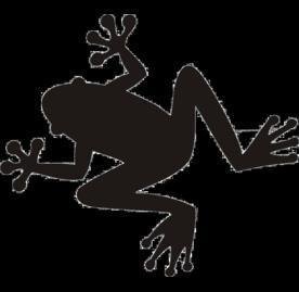 Portada de Pumpkin World