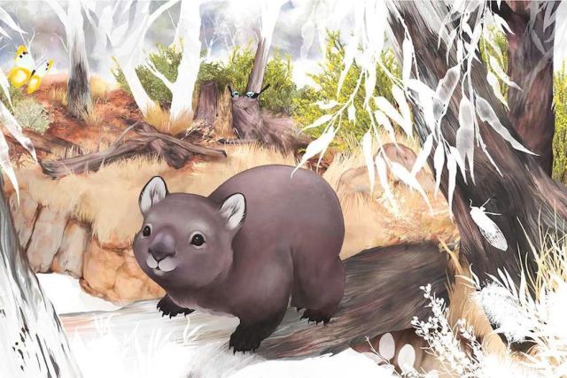 Portada de Paperbark