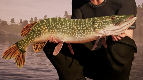 Portada de Fishing Sim World
