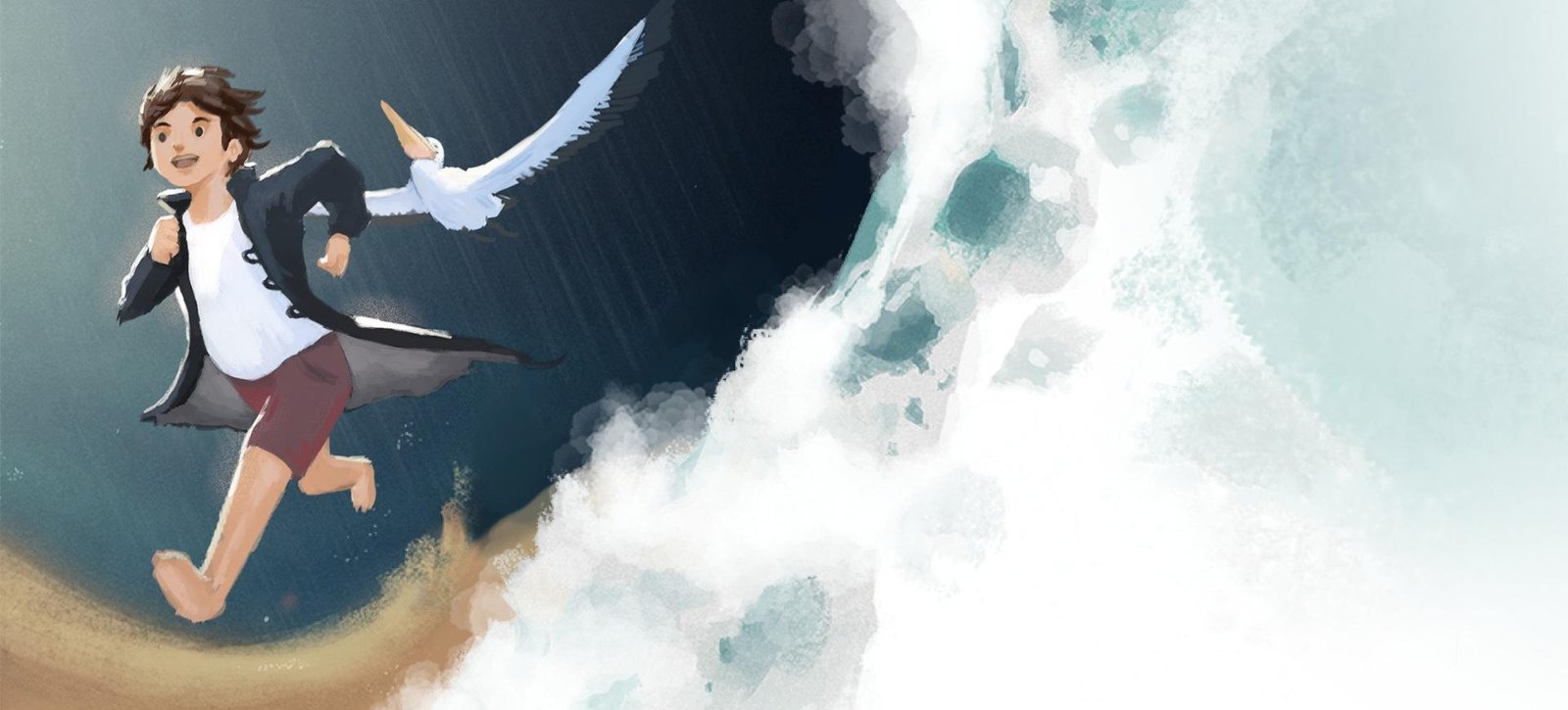 Portada de Storm Boy