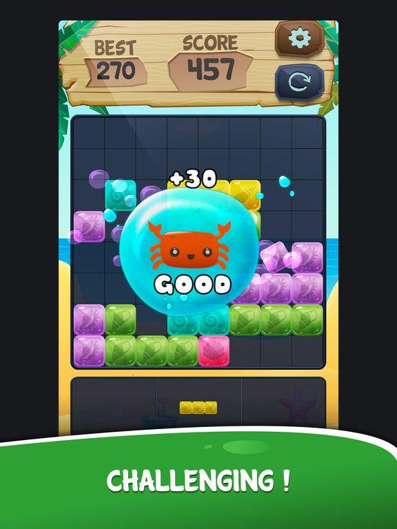 Portada de Block Puzzle Blast*