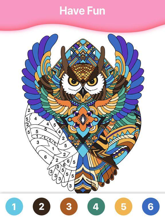 Portada de Coloring⁺