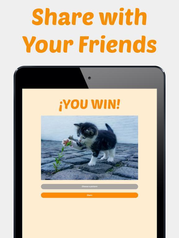 Portada de Cute Kitten Photos Puzzle