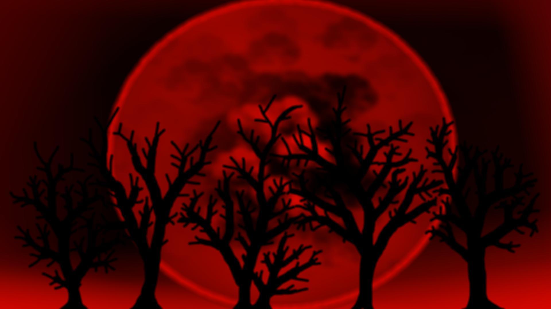 Portada de BloodMageAdventure