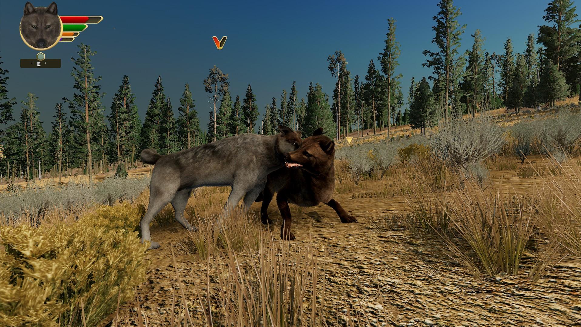 Portada de WolfQuest: Anniversary Edition