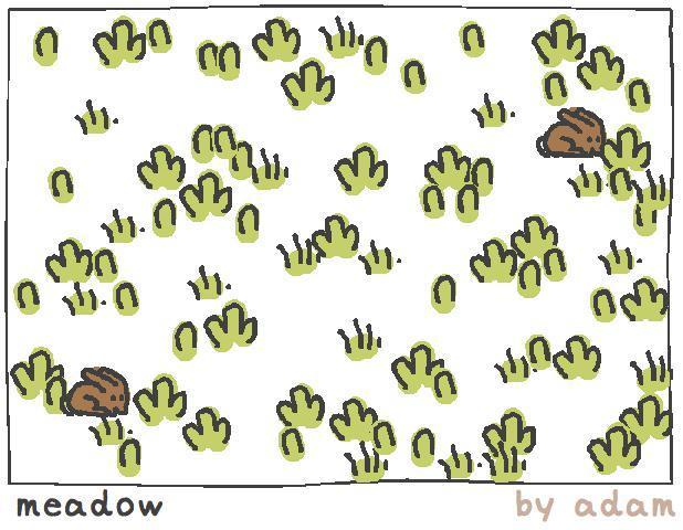 Portada de Meadow (itch)