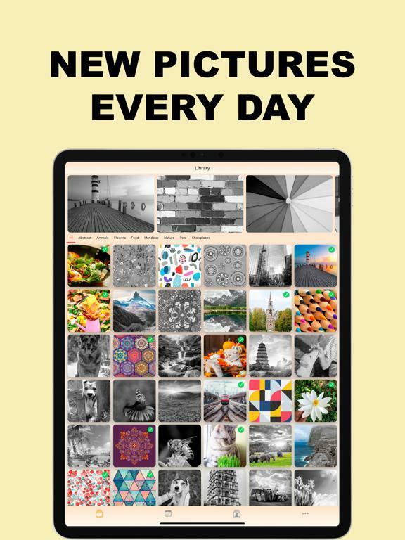 Portada de Finger Color