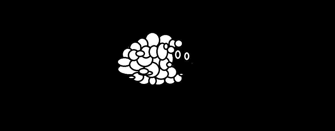 Portada de Franklin