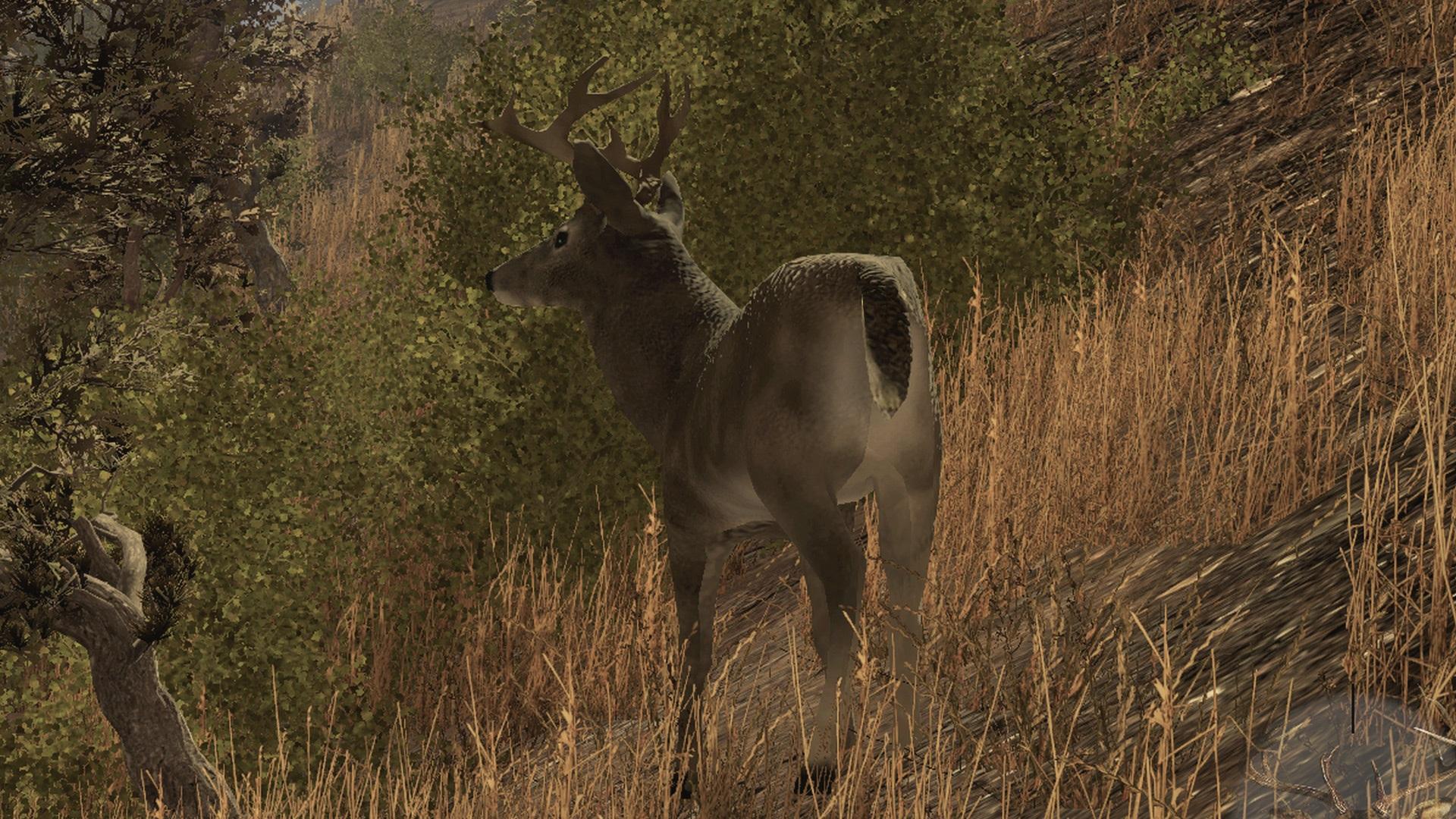 Portada de Pro Deer Hunting