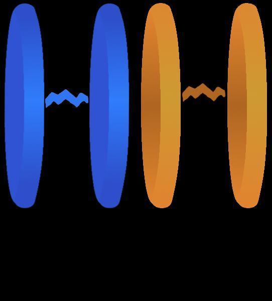 Portada de Portal 0