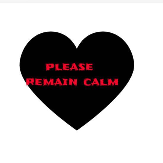 Portada de please remain calm