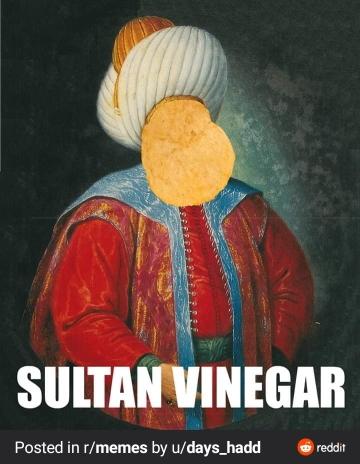 Portada de The Salt of Sultan Vinegar