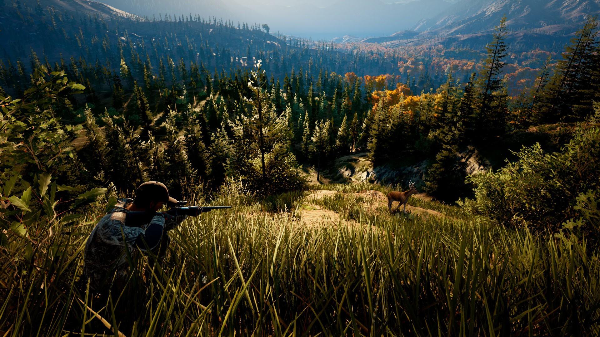 Portada de Hunting Simulator 2