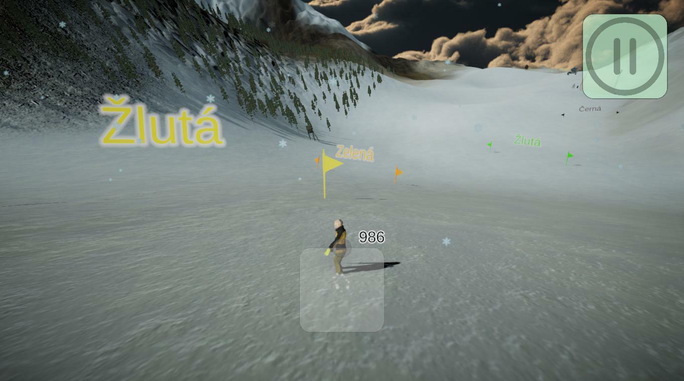 Portada de Kognitivní snowboarding