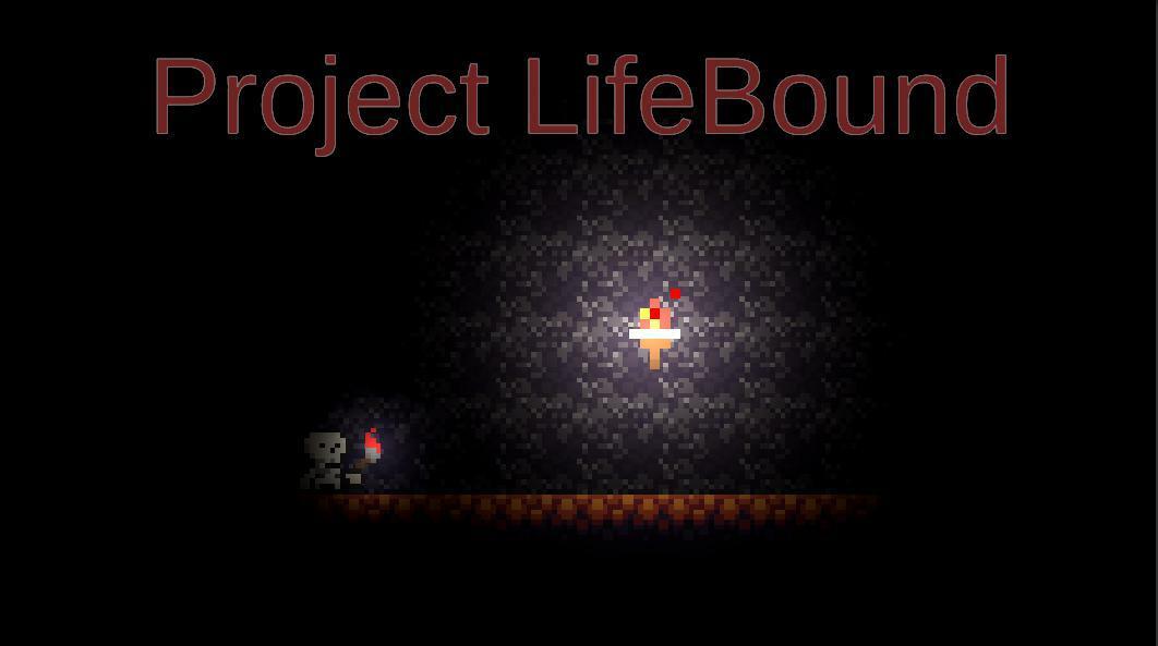 Portada de Project Life Bound