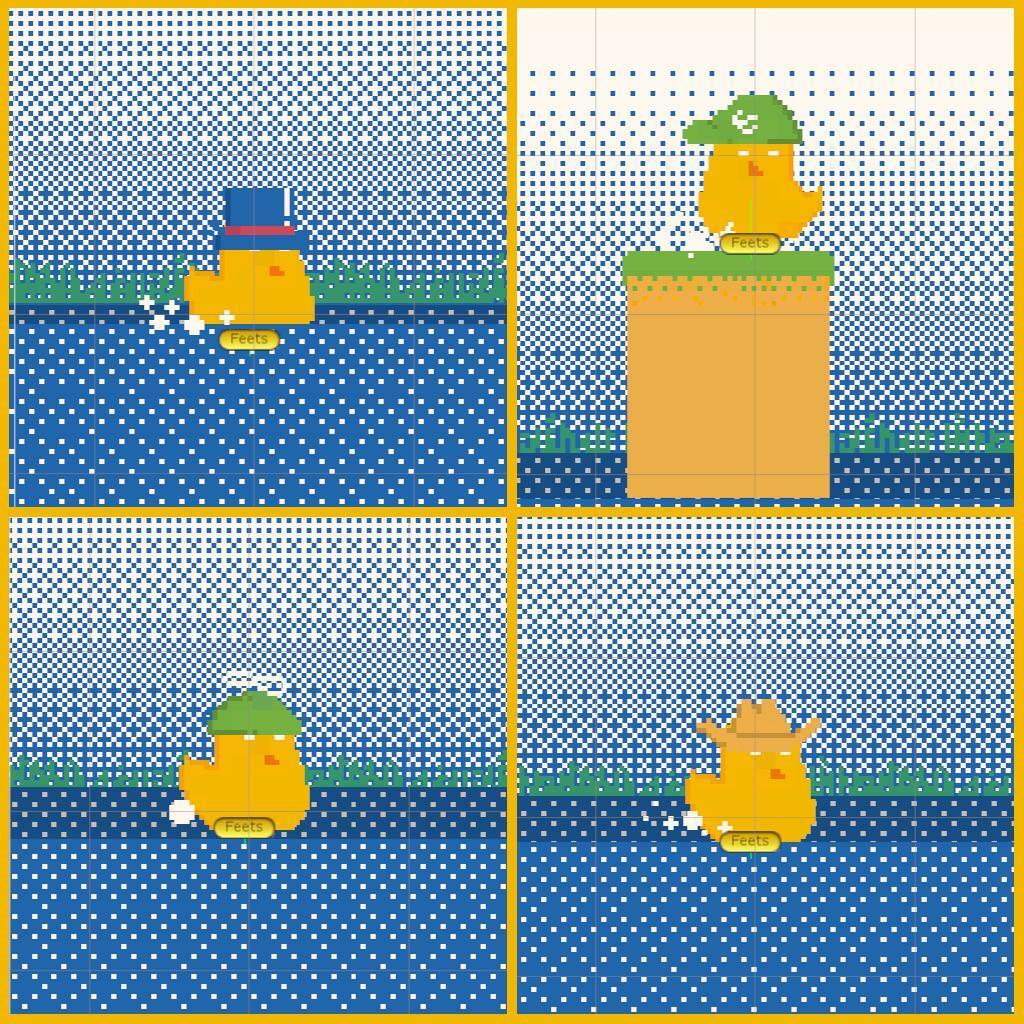 Portada de Wonderful Duck