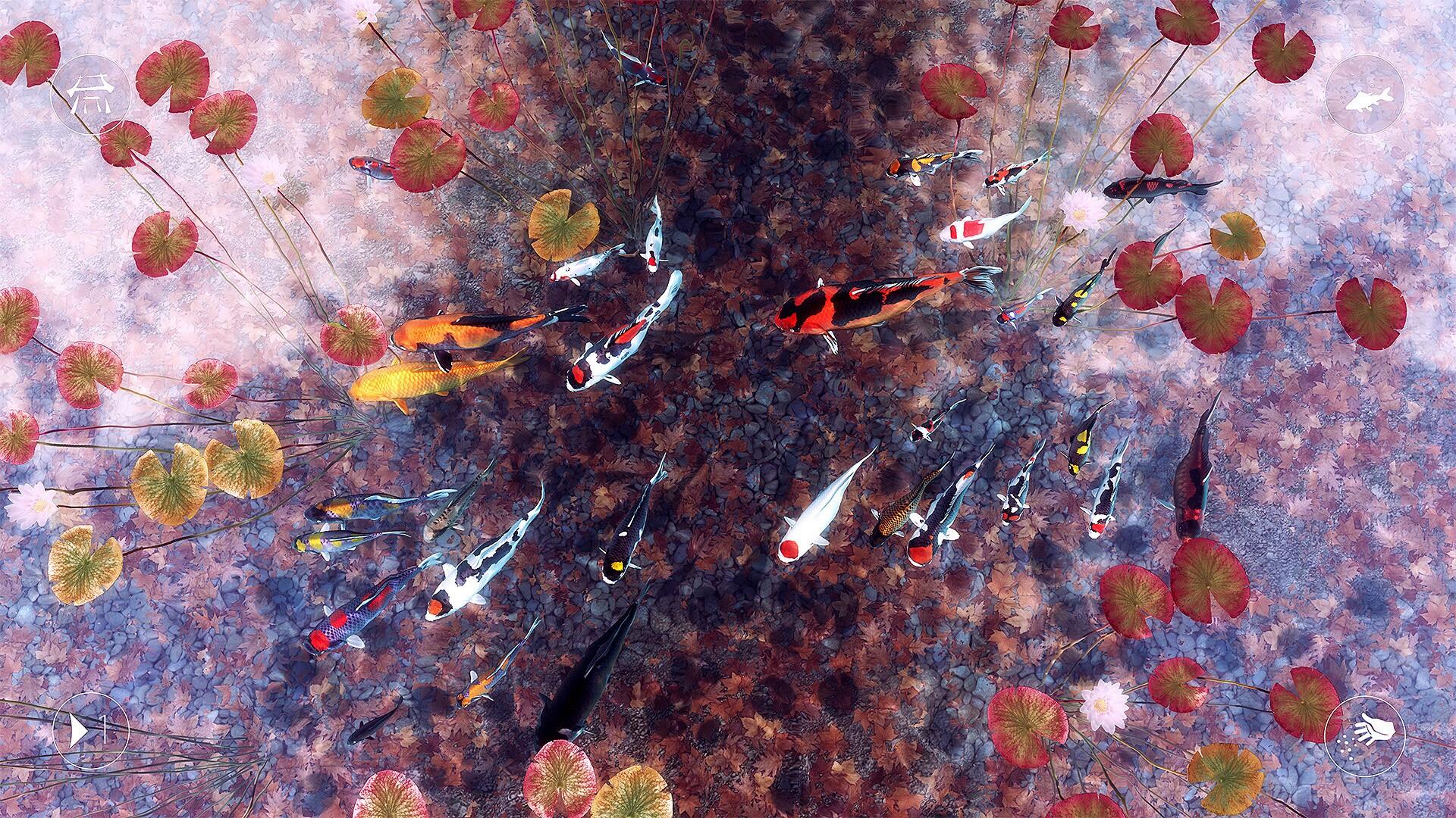 Portada de My Koi