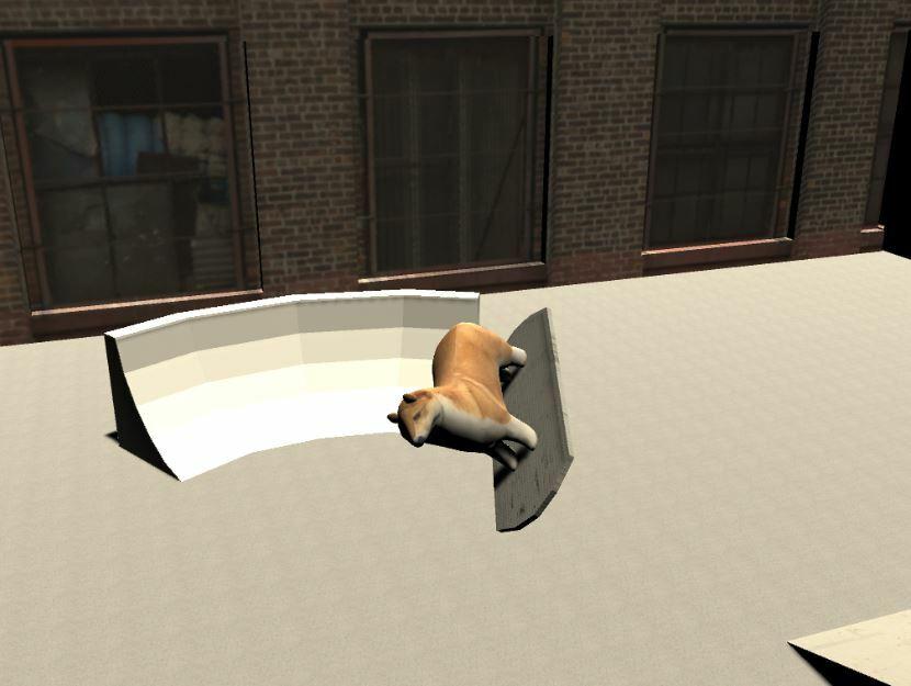 Portada de air bording dog