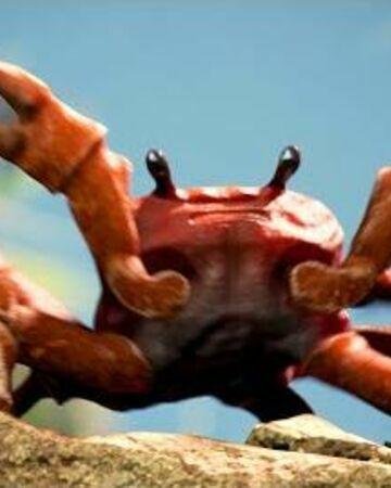 Portada de Crab Rave: The Game