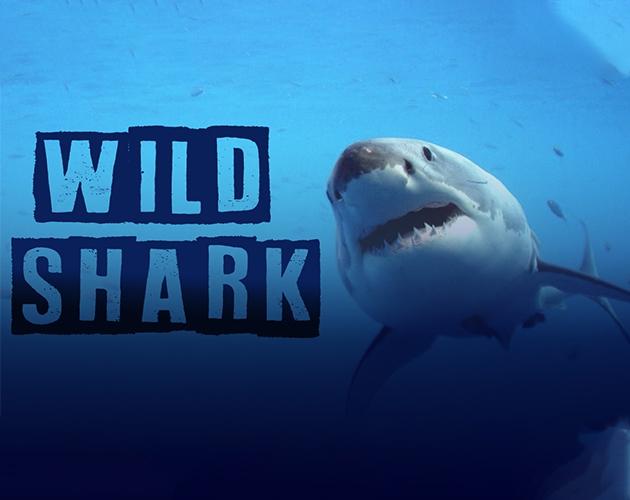 Portada de Wild Shark