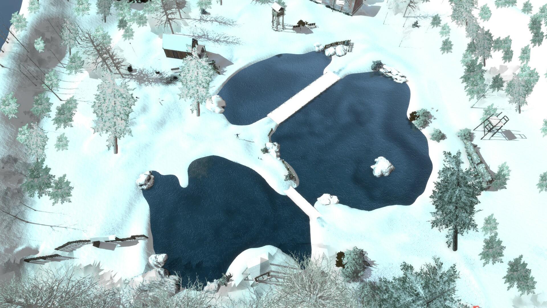Portada de Snowballer