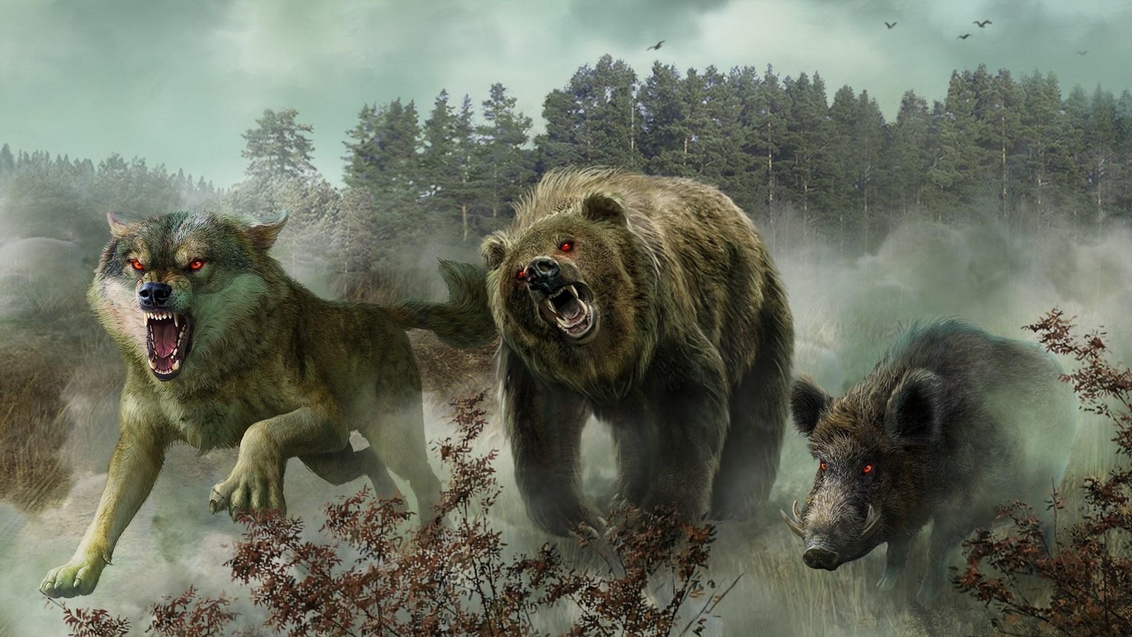 Portada de The Wild Case