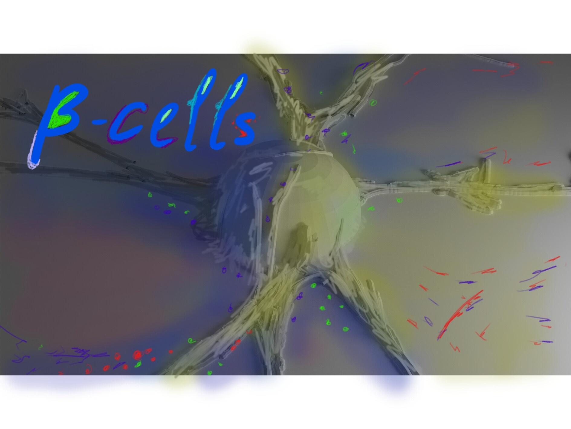 Portada de B-cells