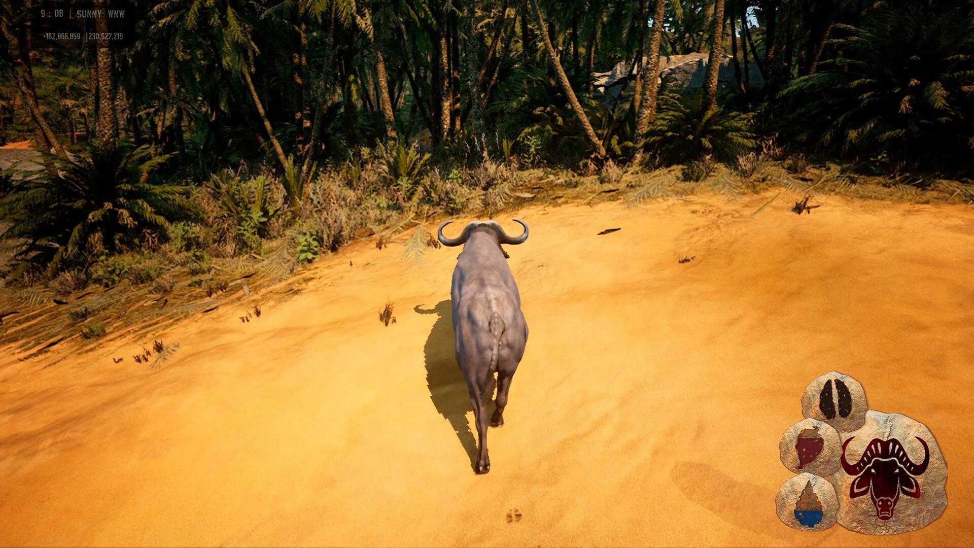 Portada de Animalia Survival