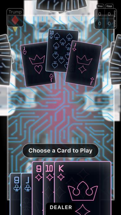 Portada de Euchre Night
