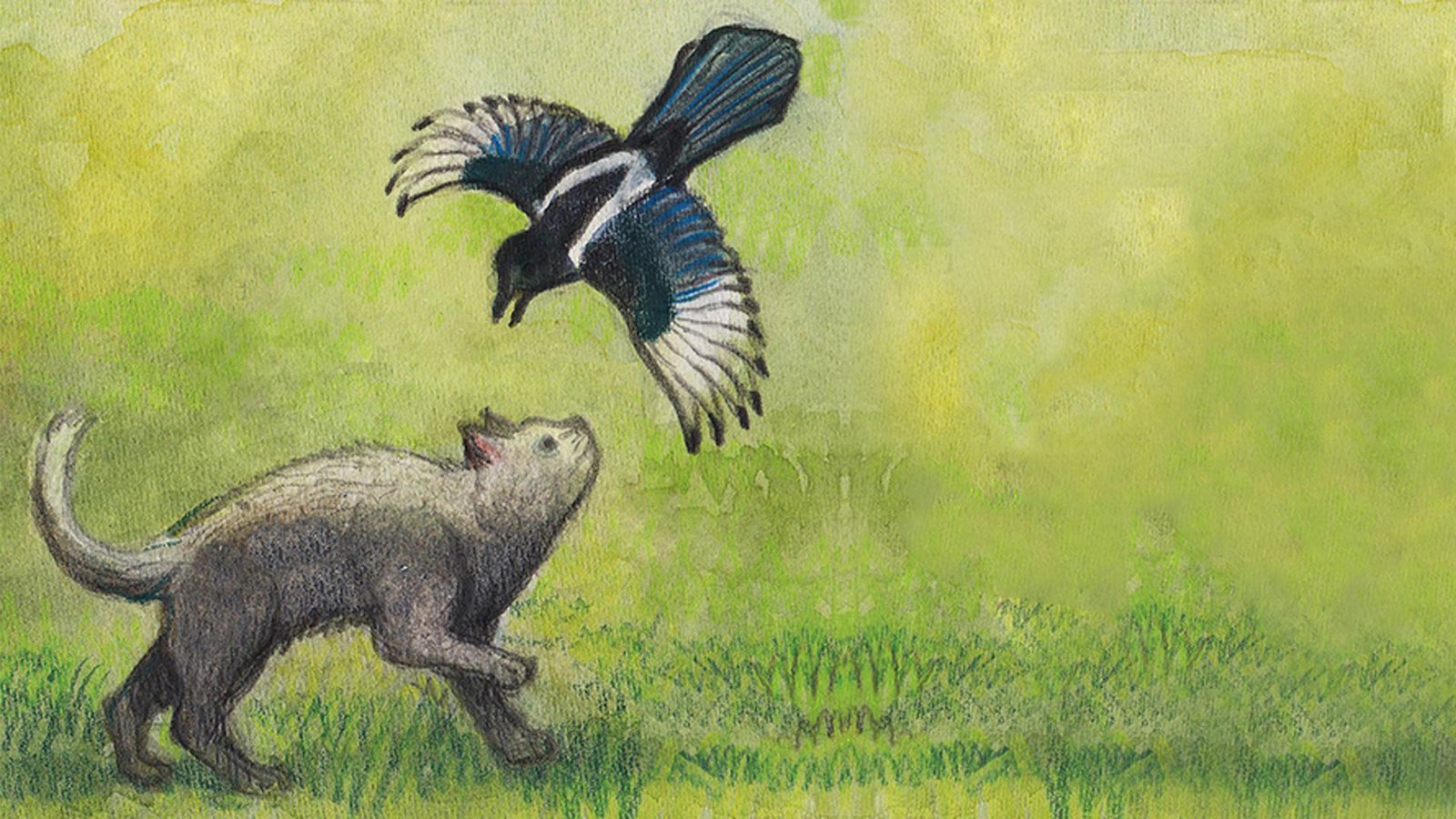 Portada de Milo and the Magpies