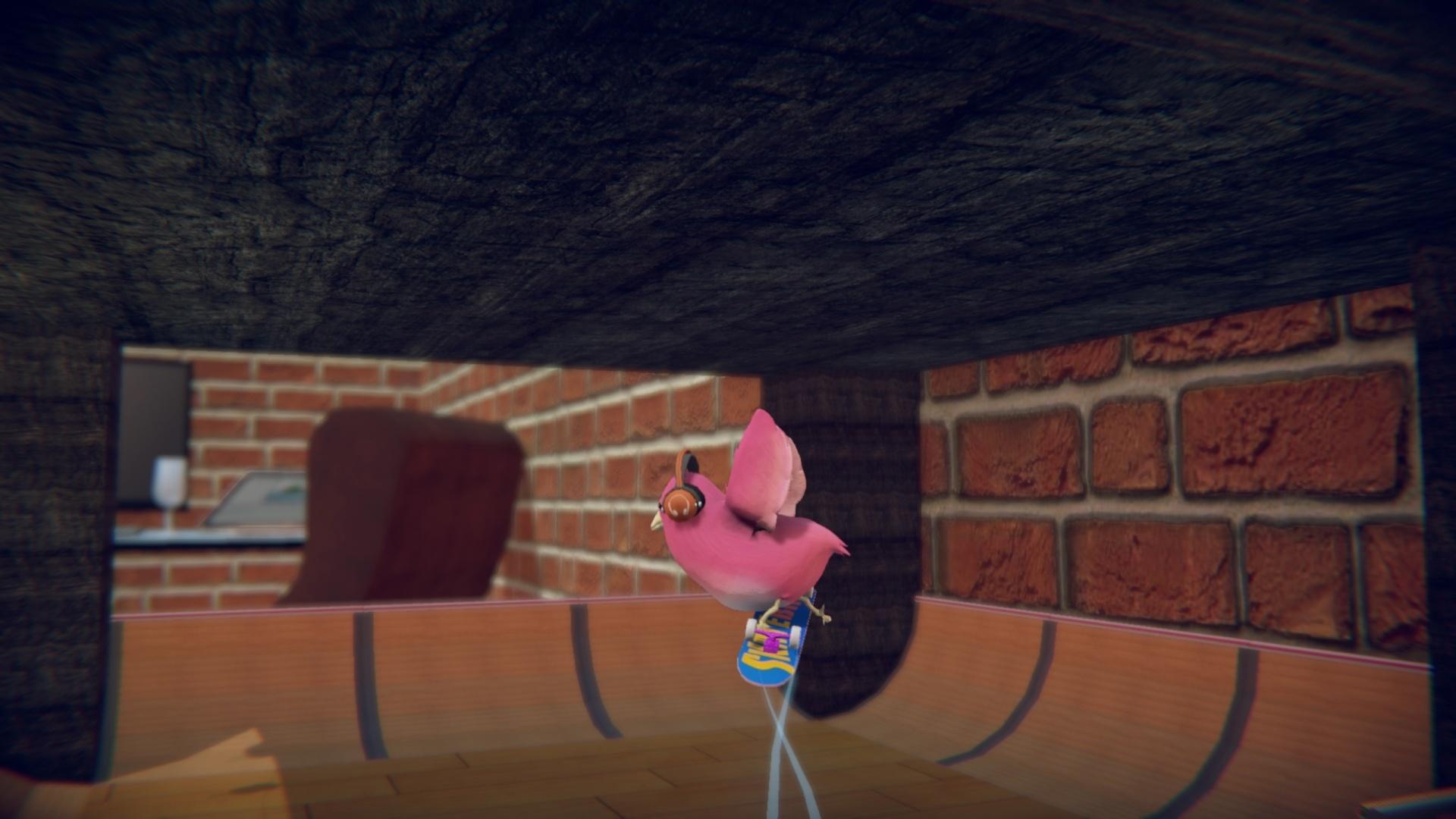 Portada de SkateBIRD