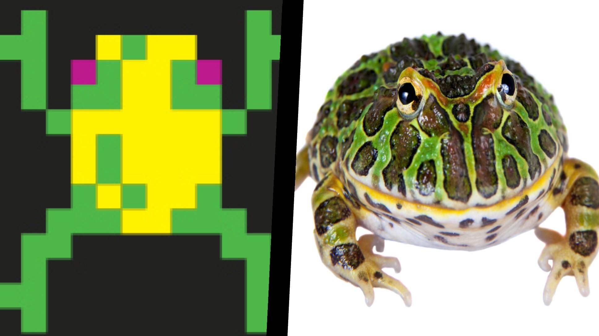Portada de FroggeR (itch) (Robot831)