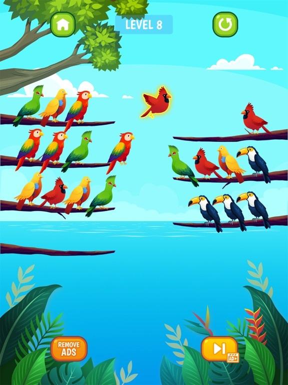 Portada de Bird Sort Puzzle