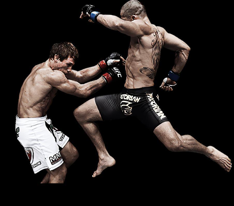 Portada de Fatal Fists